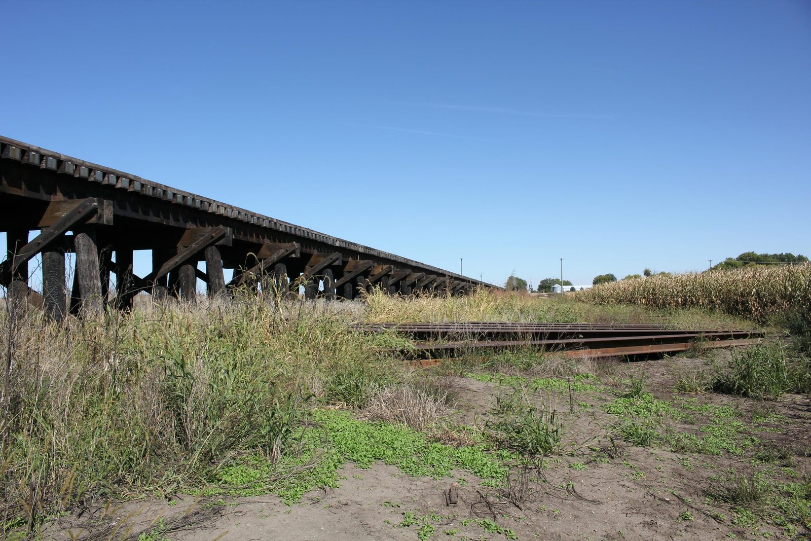 Looking north from south spans